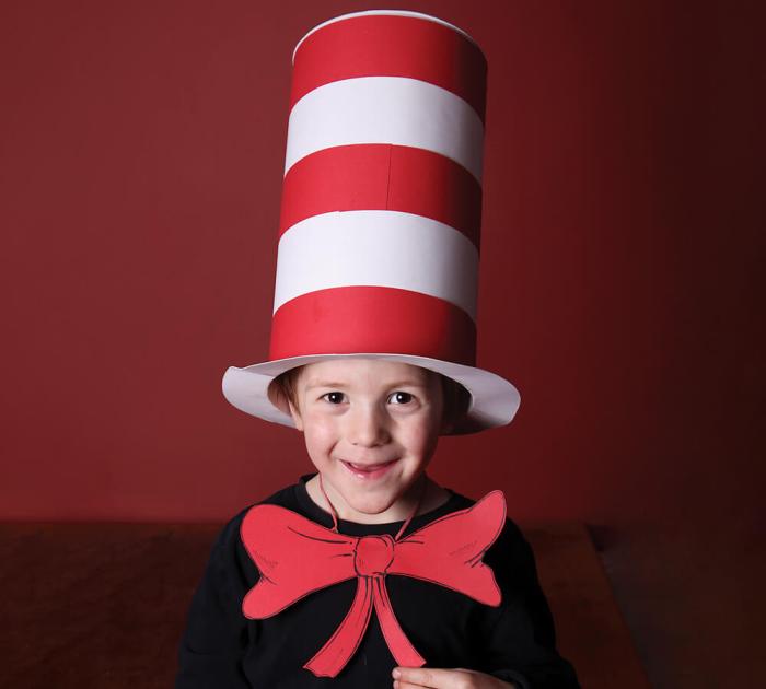 Diy cat in the hat costume