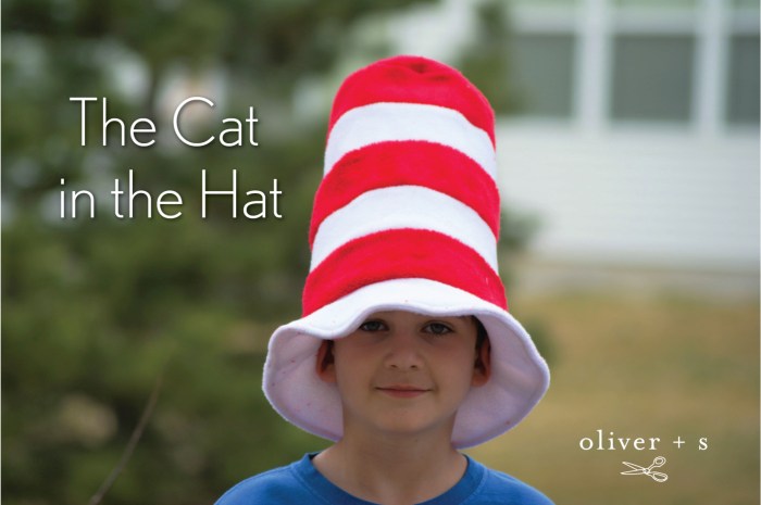 Diy cat in the hat costume