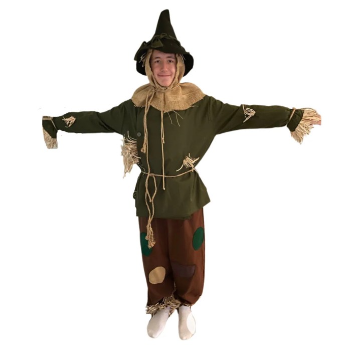 Diy scarecrow costume wizard of oz